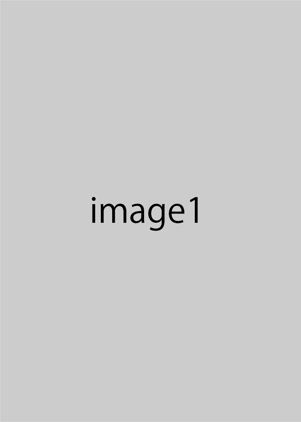 兵士とヒョウの写真